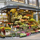 flowers shop