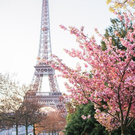 Побывать в Париже
