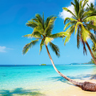 Trip to the Dominican Republic