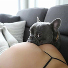 New toys (новые игрушки)