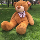 My giant stuffed animal