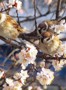 Utsu what inspires me photo 4690783