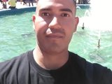 olivermadison