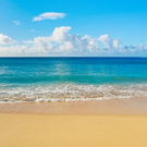 CaraMellle wish list item 1 thumbnail