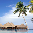 2 путевки на мальдивы