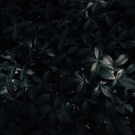 Айфон 11