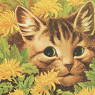 Мечтаю жить счастливой жизнью!