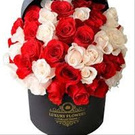 Gift of love