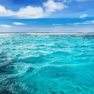 live near the ocean
