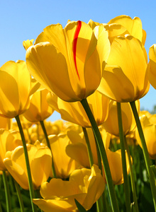 My Photos