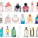 perfume collection