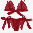 Sexy Lingerie