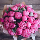 Wildcherries wish list item 3 thumbnail