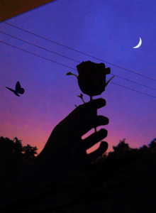 My Photos