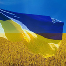 come back Ukraine....