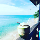 Vacation