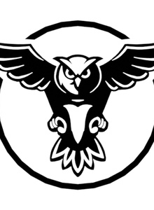 White-Owl My Photos photo 4660777