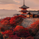 Поездка в Японию