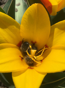 My Photos