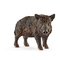 Wild-boar