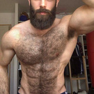 a furry bear