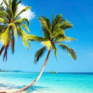 Мечтаю оказаться на настоящем Баунти))