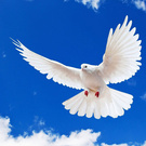 Мир во всем мире