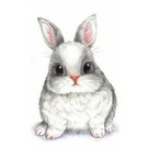 I want a bunny
