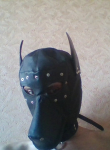 My Photos