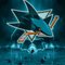 RJhockey88