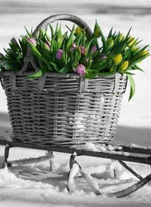 My Photos
