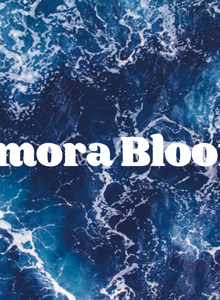 Amoraaah My Photos photo 5268505