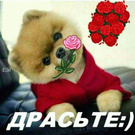 My wish