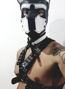 Igor2020-4 photo 4791550 thumbnail