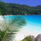ISLAND!!!