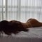 sexycat0110