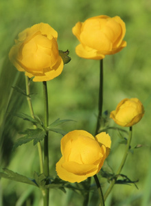 My Photos