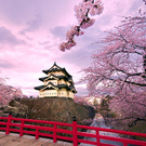 travel to Japan ♥