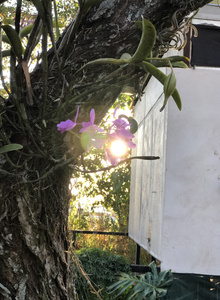 Fotoğraf #4786334