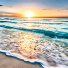 ocean ♥