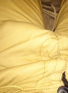 aartee photo 4792555 thumbnail