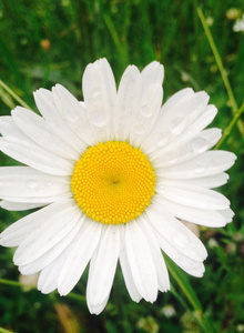 _Brodskiy photo 4917690 thumbnail