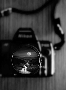 Fotoğraf #5319318