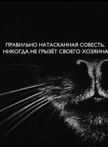 _Brodskiy photo 4971920 thumbnail