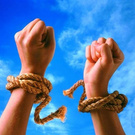 Свобода  / Freedom