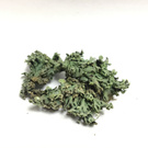 На путешествие в горы