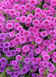 Andreaxsweet1 My Photos photo 4828497