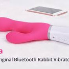 LOVENSE Nora Rabbit Vibrator