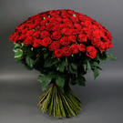 red roses