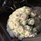 Your1blonde wish list item 2 thumbnail